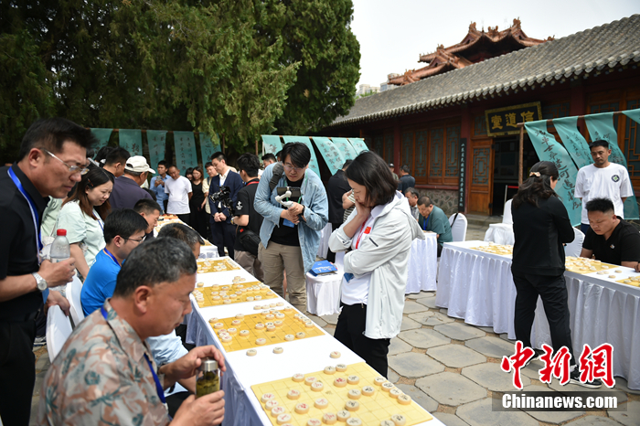 奥运冠军杨秀丽携象棋特级大师许银川同台岱庙