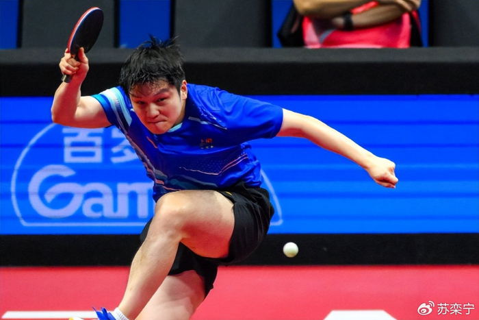 王励勤升任乒羽中心副主任引国乒大变革